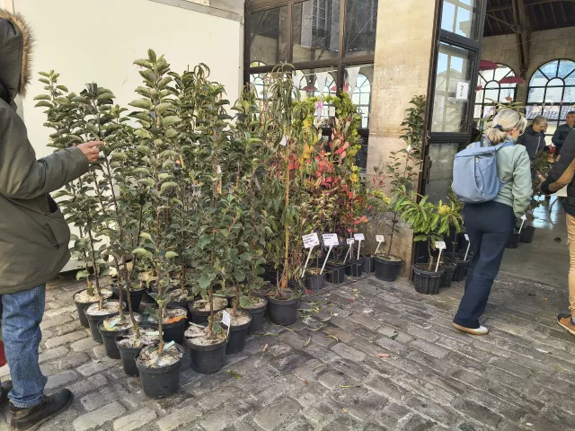 Stand des Pépinières du Rougier sur une foire aux plantes